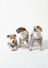 Saint James Dog ‘Toutounière’ Breton Sailor Shirt