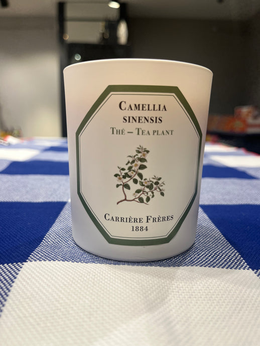 Tea Plant candle by Carrière Frères