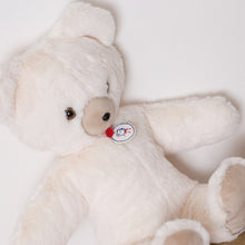 Toinou the Teddy Bear by Les Petites Maries